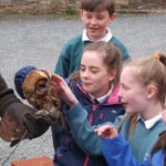School Tours Hands on Learning with Birds of Prey in Ireland