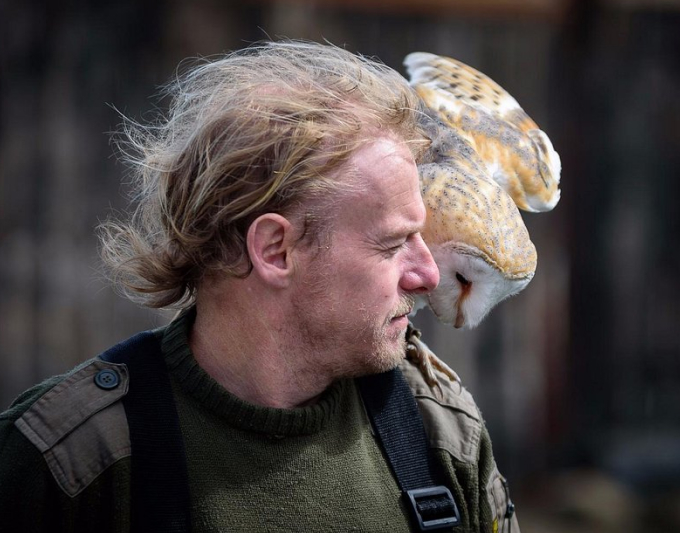 A Barn Owl leaning its head against a falconer's shoulder in a close-up profile shot.