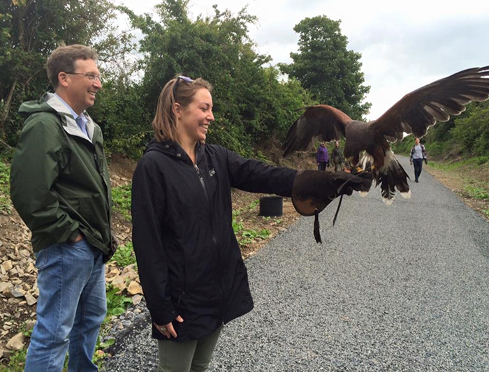 A woman smiling as a hawk with wings spread lands on her falconry glove during a walk.