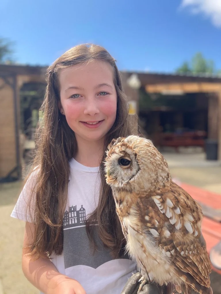 Girl holding perched tawny owl.