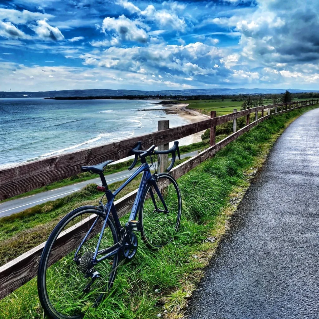 Bicycle parked beside scenic coastal path.