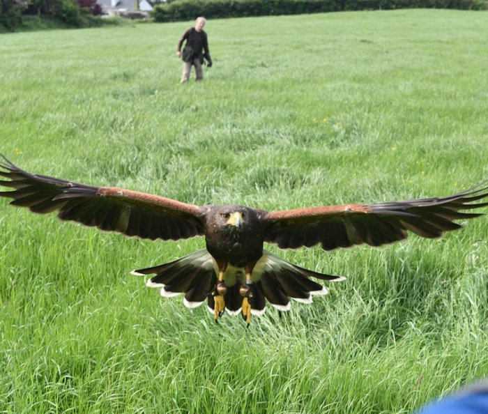 Here is the alt text for the images provided: