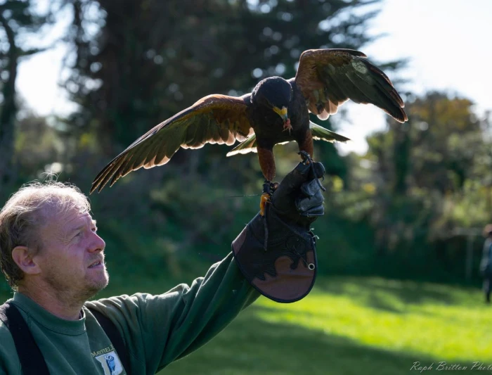 Instructor holding owl for woman to see.