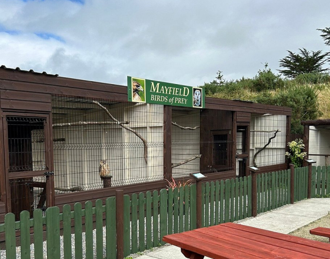 Bird of prey sanctuary with aviaries.