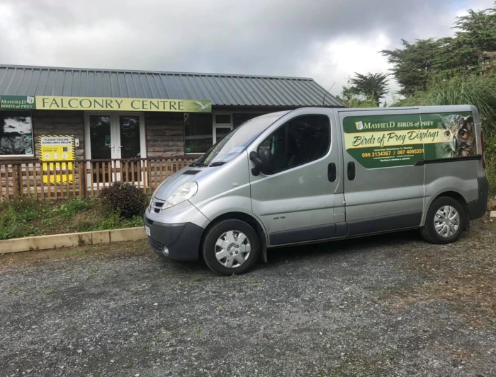 Hawk flying through the air toward a gloved hand.