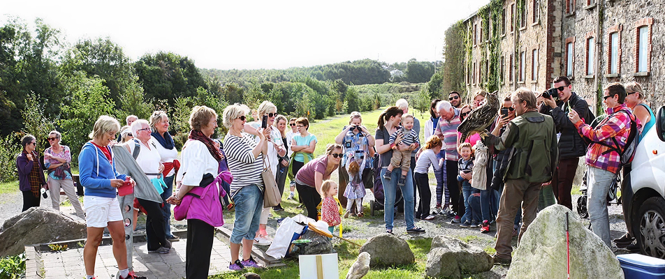 A large group of tourists outdoors taking photos of a falconer holding a bird of prey near a stone building.