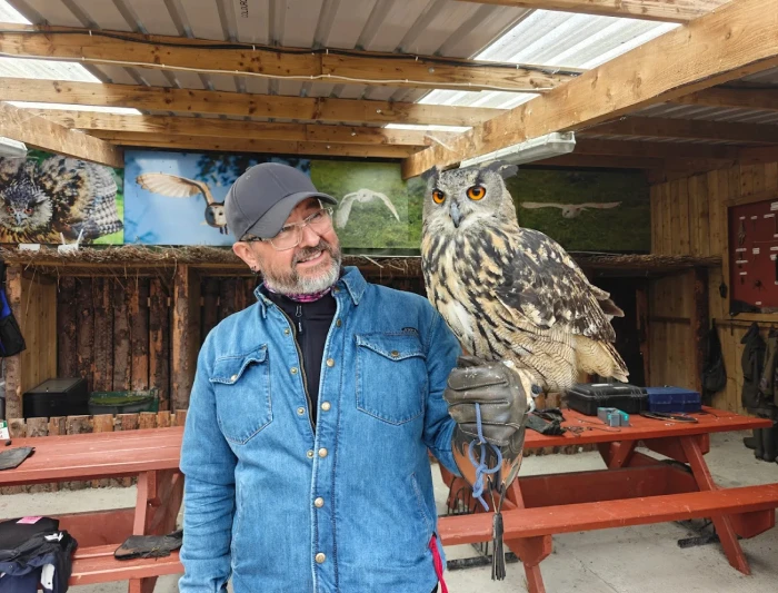 Large hawk perched on stone wall.