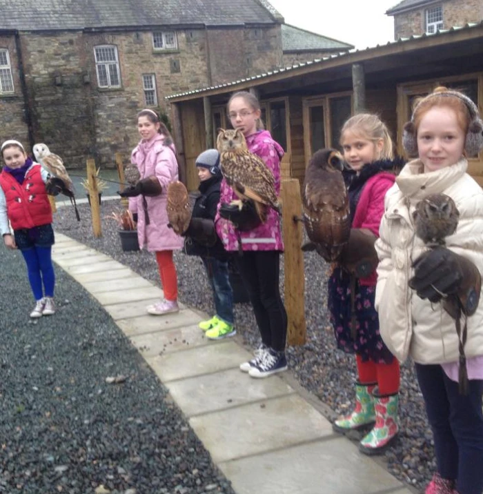 School tour in Waterford with birds of prey outdoors