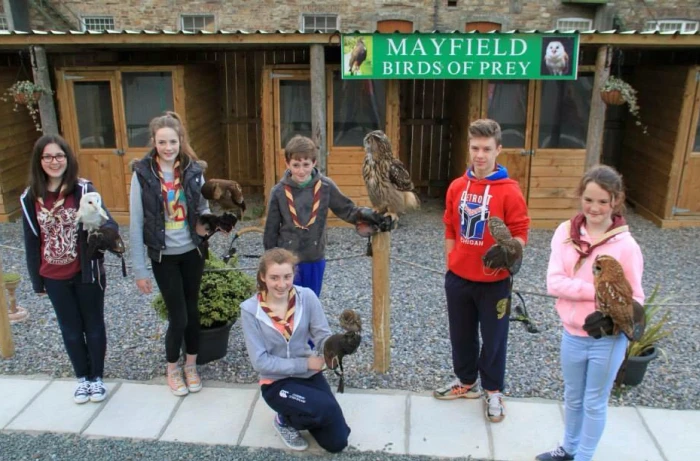School visit experience with birds of prey activities